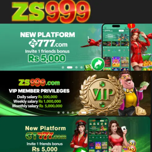 ZS999 Game